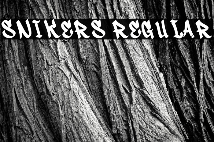 Snikers Regular Example 1