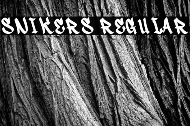 Snikers Regular Font examples
