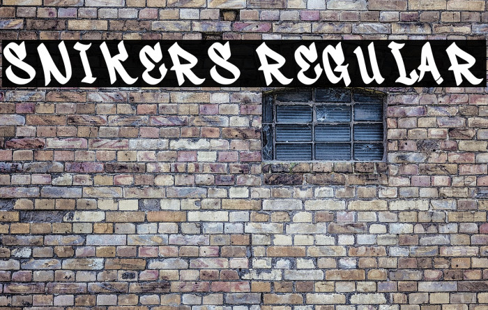 Snikers Regular Example 2