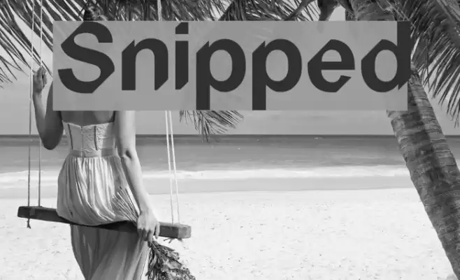 Snipped Font examples