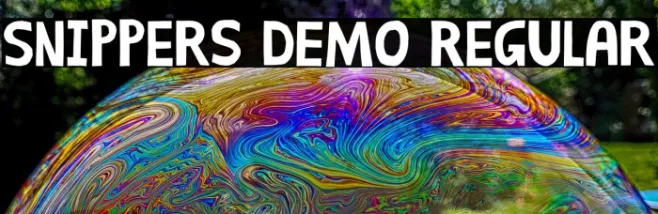 Snippers DEMO Regular Example 1