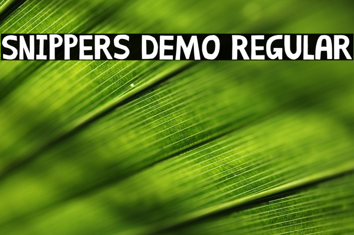 Snippers DEMO Regular Example 2