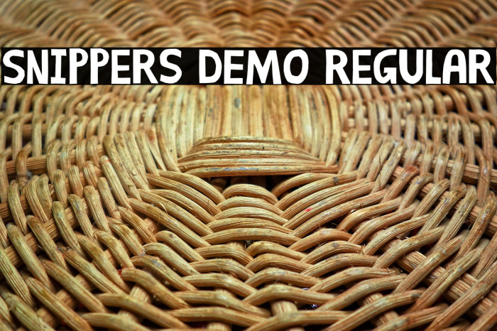 Snippers DEMO Regular Example 3