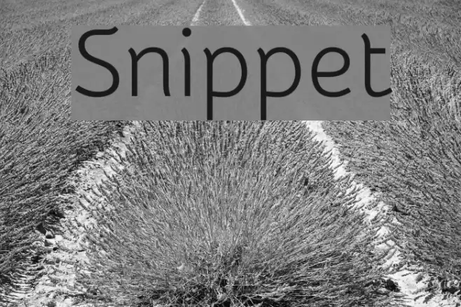 Snippet Font examples