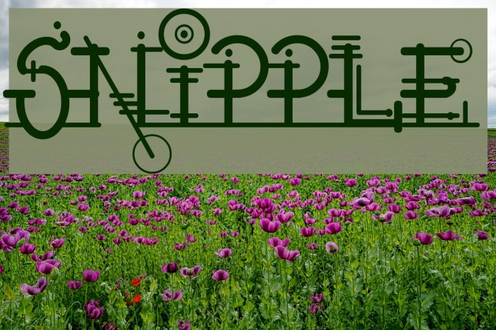 Snipple Font examples
