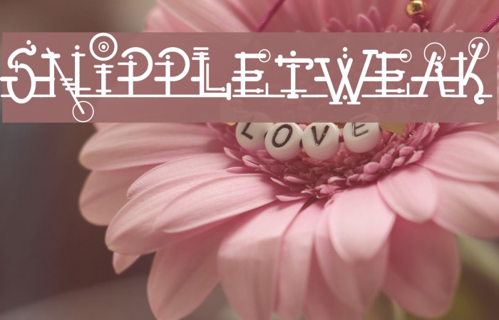 Snippletweak Font examples