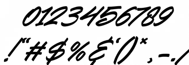 Snooky Italic Font OTHER CHARS