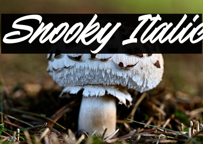 Snooky Italic Example 1