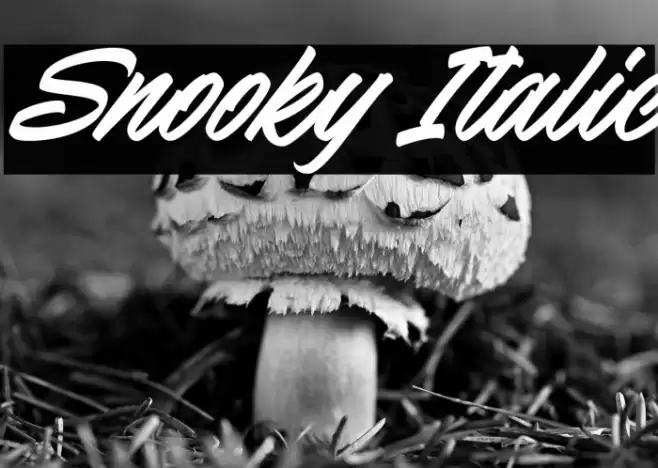 Snooky Italic Font examples