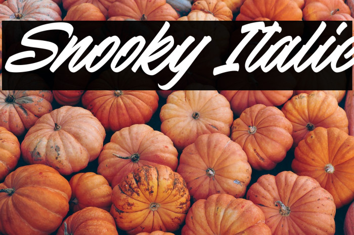 Snooky Italic Example 2