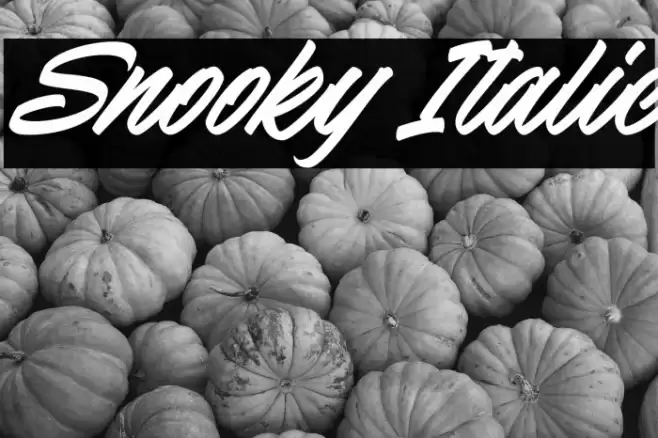Snooky Italic Font examples