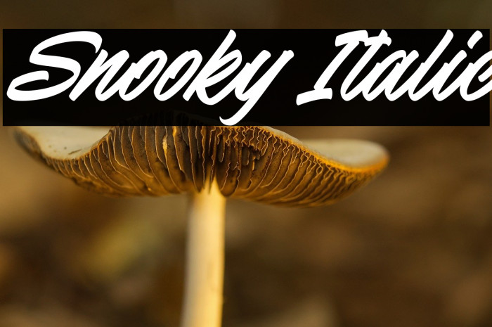 Snooky Italic Example 3