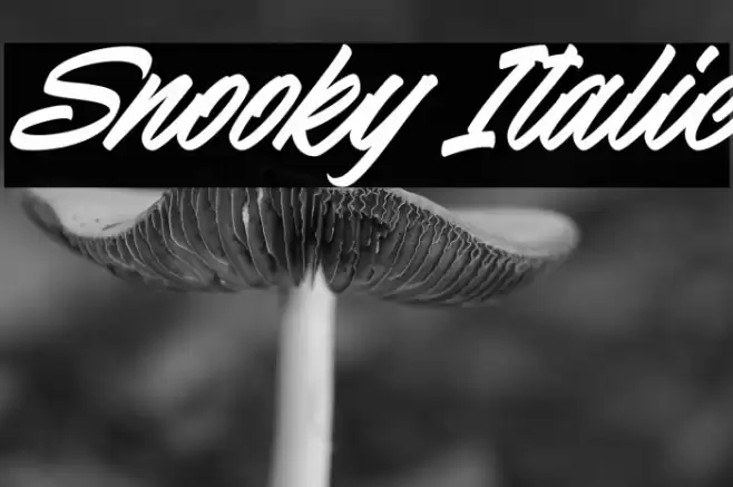 Snooky Italic Font examples