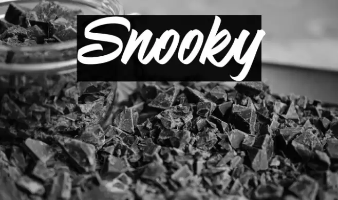 Snooky Font examples