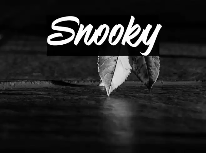 Snooky Font examples