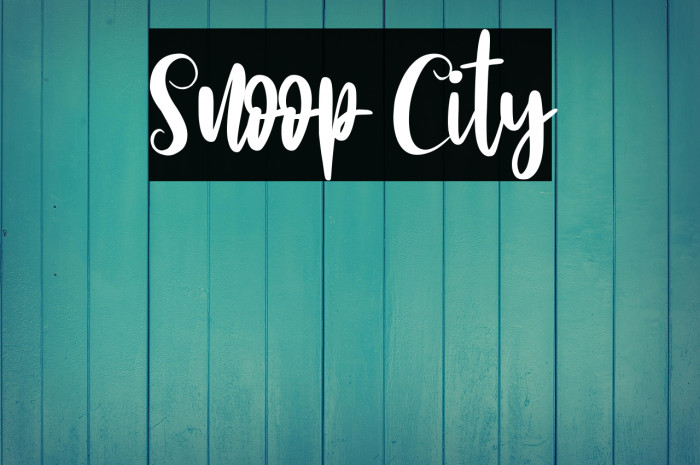 Snoop City Example 1