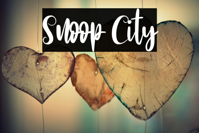 Snoop City Example 2