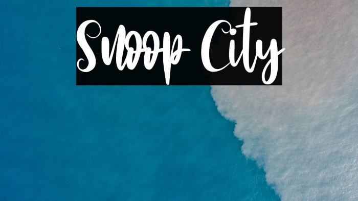 Snoop City Example 3