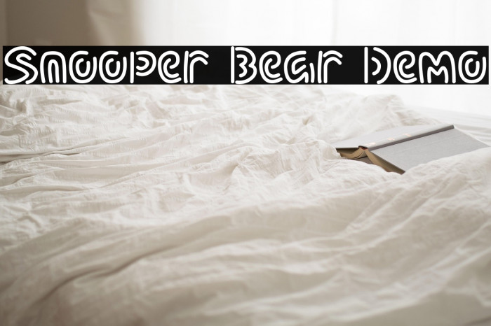 Snooper Bear Demo Example 1