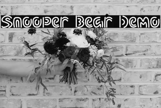 Snooper Bear Demo Font examples