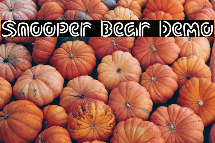 Snooper Bear Demo Example 3