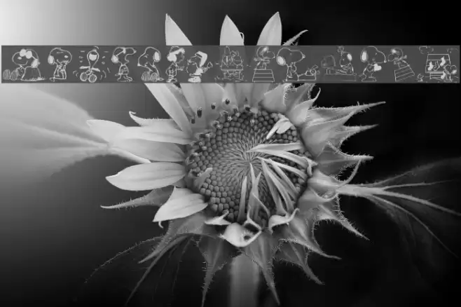 Snoopy Dings Font examples