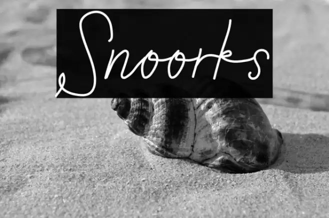 Snoorks Font examples