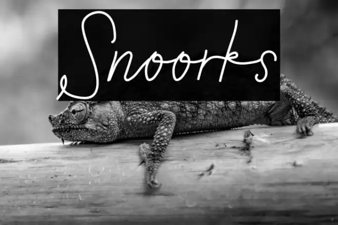 Snoorks Font examples