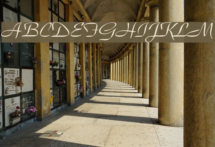 Snooty Font examples