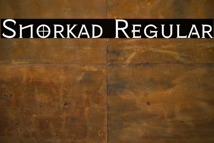 Snorkad Regular Example 1