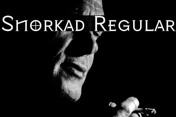 Snorkad Regular Example 3