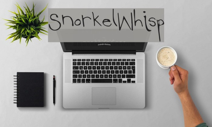 SnorkelWhisp Example 1