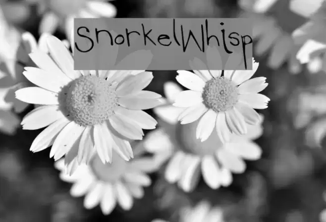 SnorkelWhisp Font examples
