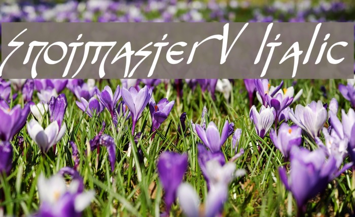 Snotmaster V Italic Font examples