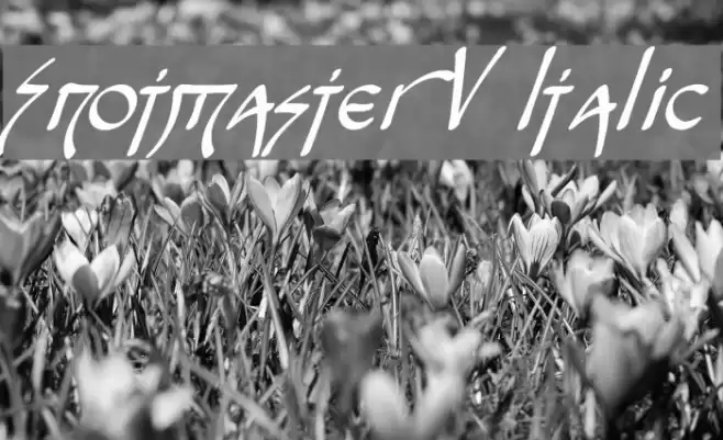 Snotmaster V Italic Polices examples
