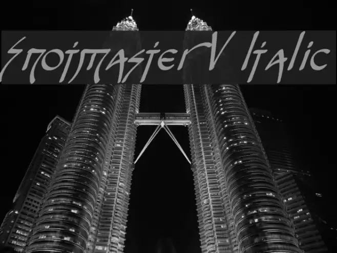 Snotmaster V Italic Polices examples