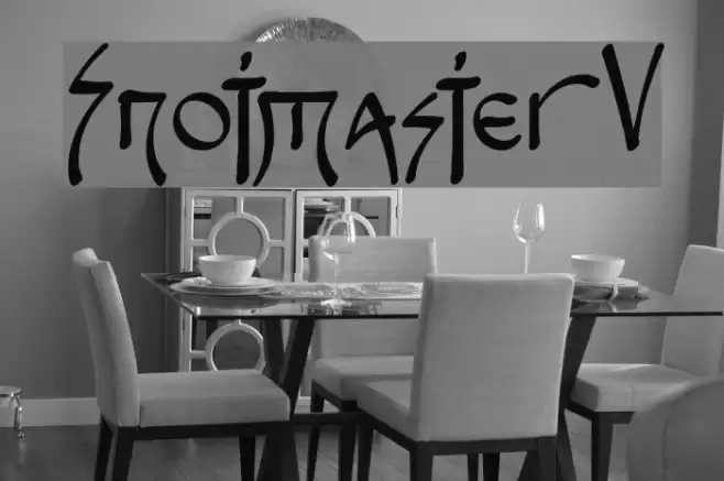 Snotmaster V Fonte examples