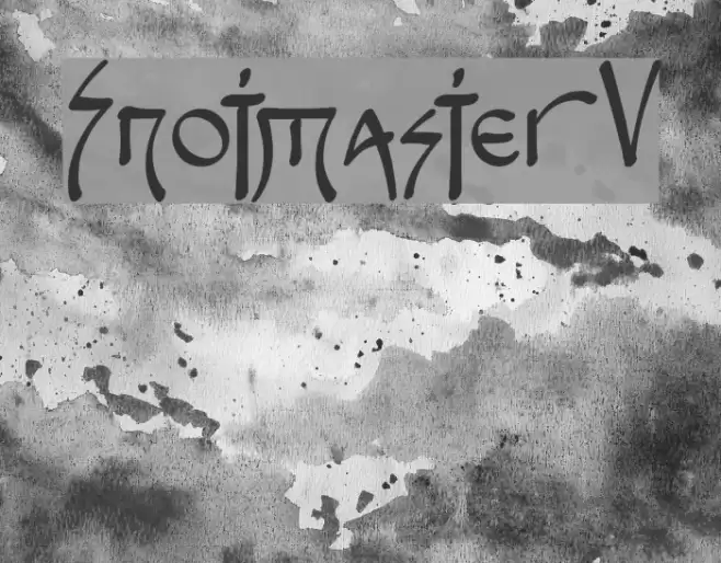 Snotmaster V Fonte examples