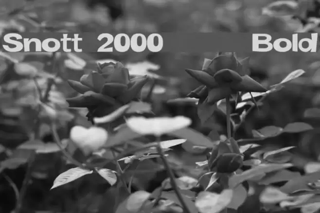 Snott 2000 Bold Schriftart examples