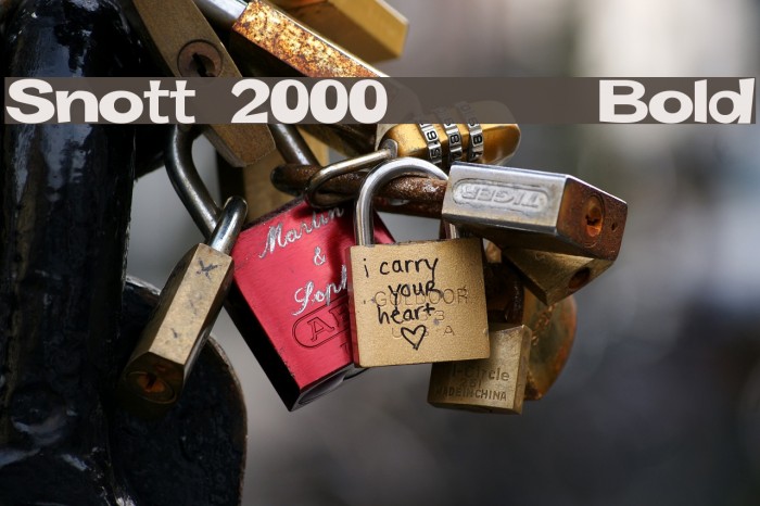 Snott 2000 Bold Font examples