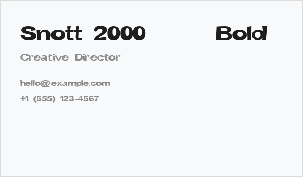 Snott 2000      Bold Business Card
