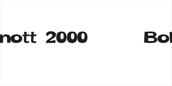 Snott 2000      Bold Logo