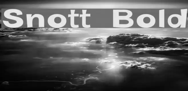 Snott  Bold Font examples