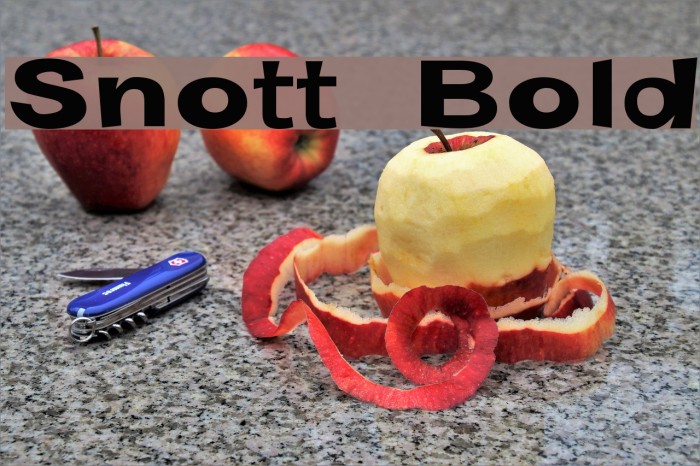 Snott Bold Font examples