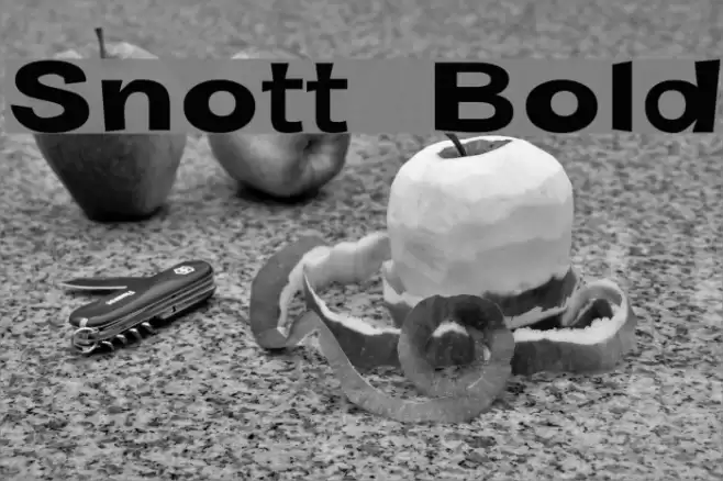 Snott  Bold Font examples