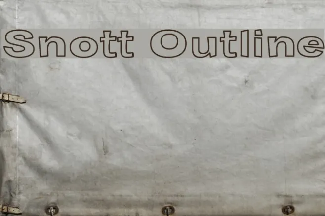 Snott Outline Example 2