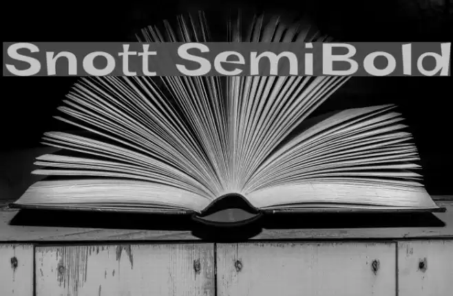 Snott SemiBold Polices examples