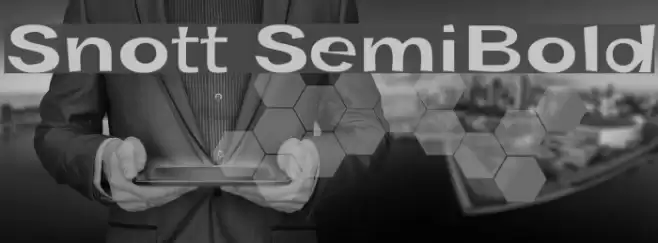 Snott SemiBold Polices examples