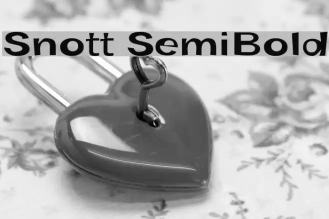 Snott SemiBold Polices examples