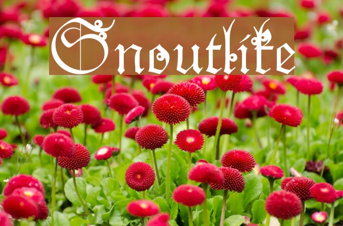 Snoutlike Font examples